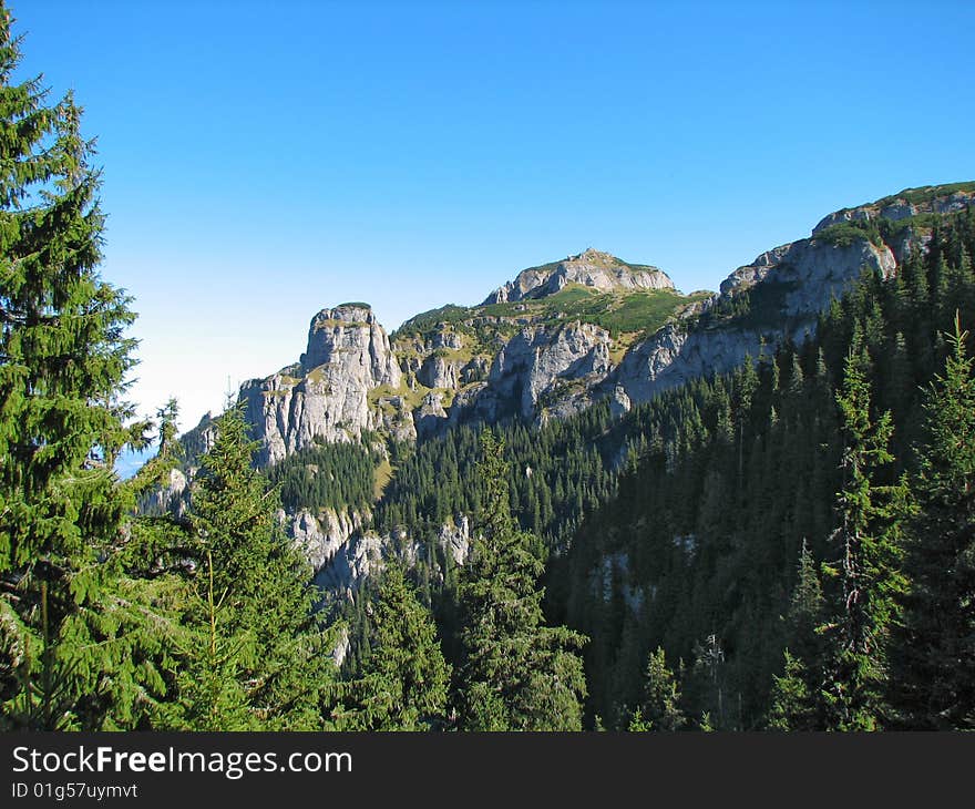 Mountain Top Landscape