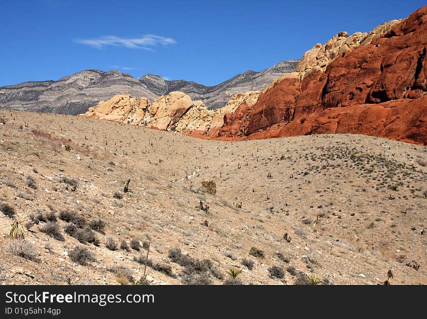 Desert Landscape