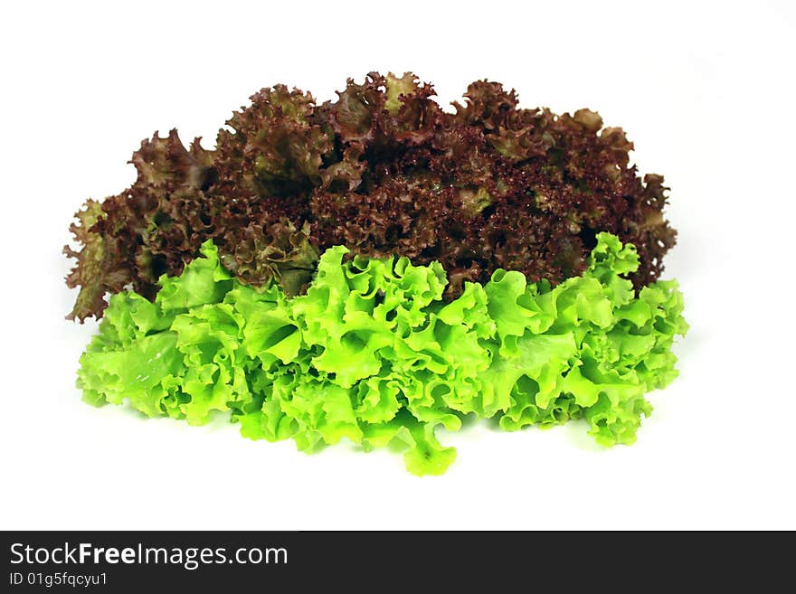 Juicy leaves of lettuce on a white background. Juicy leaves of lettuce on a white background