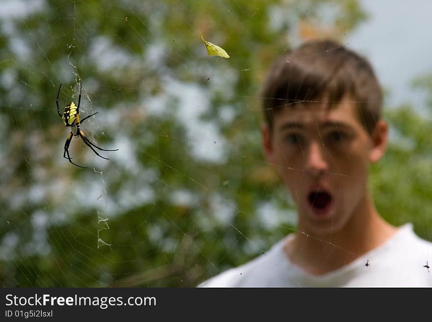 Garden Spider with surprised boy looking