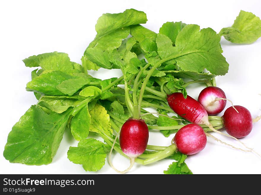 Garden Radish