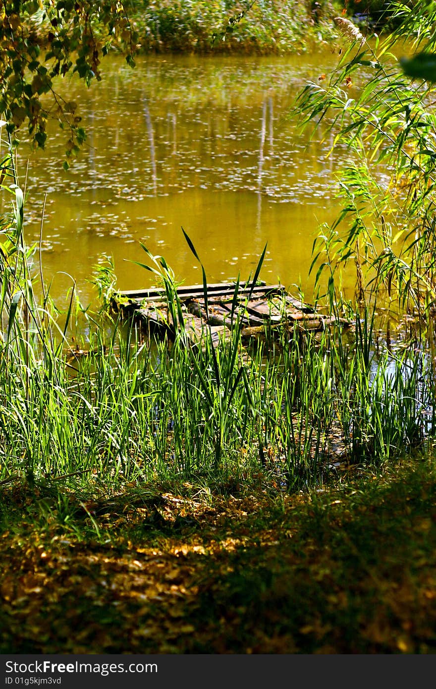 Pond s hidden place