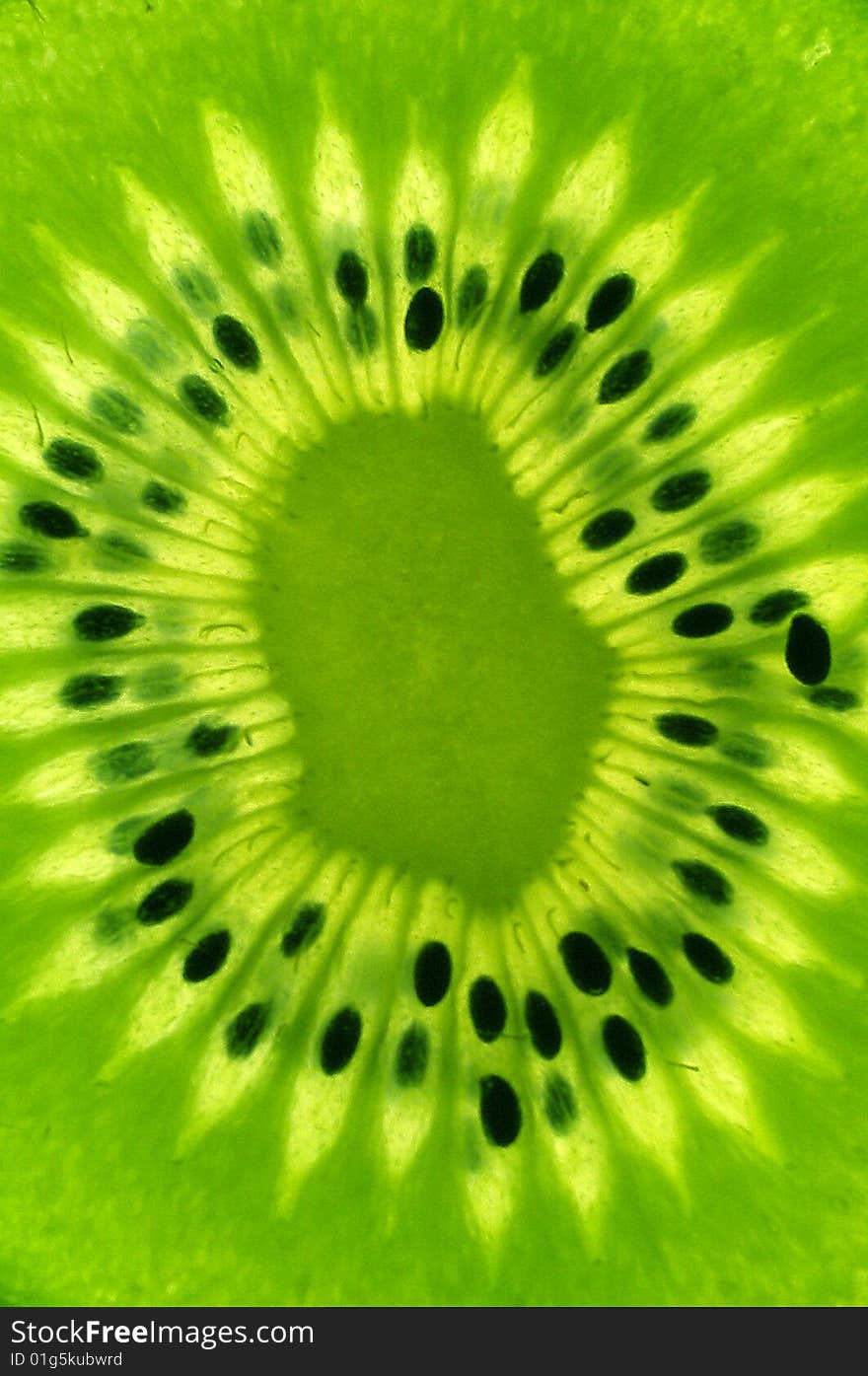 The insides of a kiwi fruit