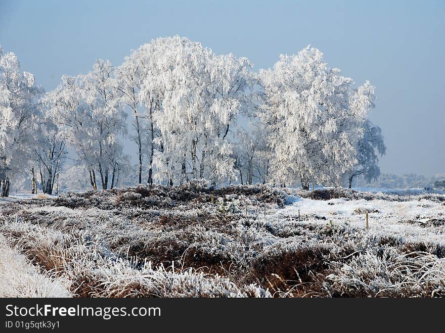 Nature in winter with snow, ice and a clear blue sky. Nature in winter with snow, ice and a clear blue sky