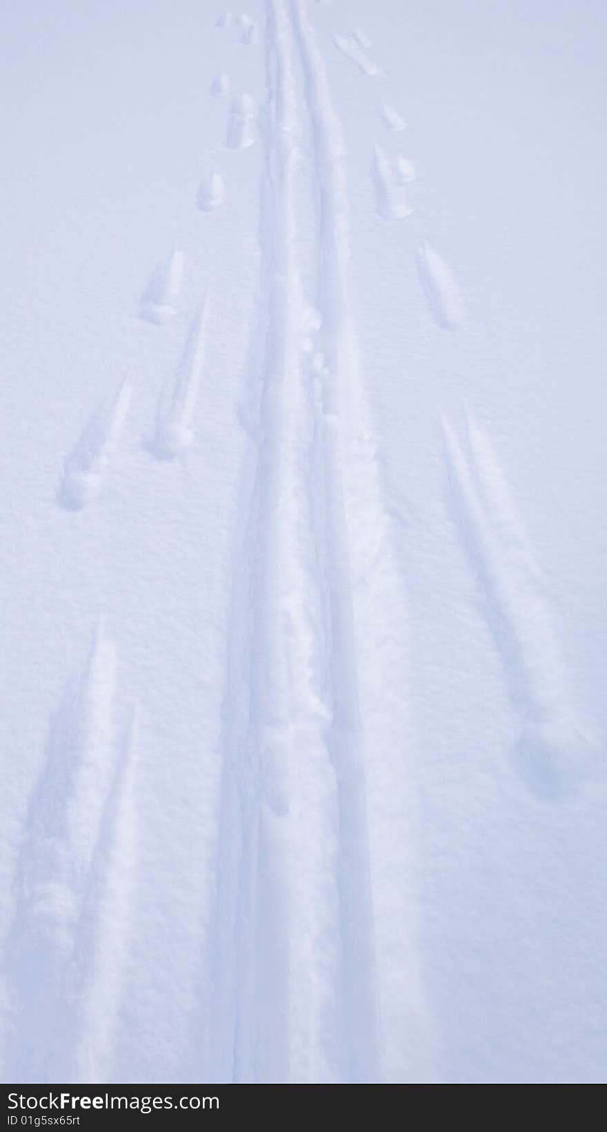 Skking tracks on an ice covered Norwegian mountain lake. Skking tracks on an ice covered Norwegian mountain lake