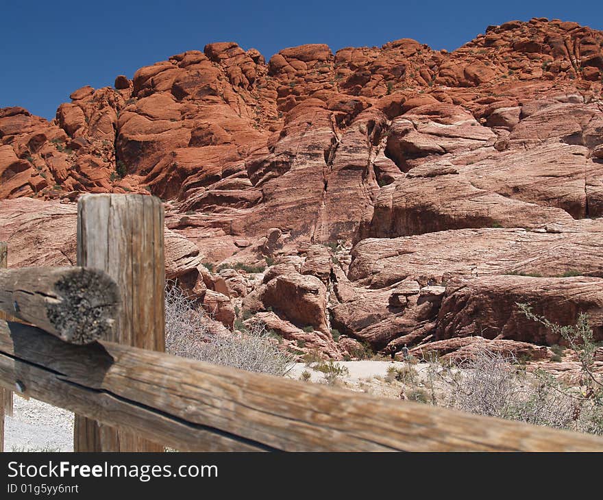 Colourful Desert Landscape And Vegetation