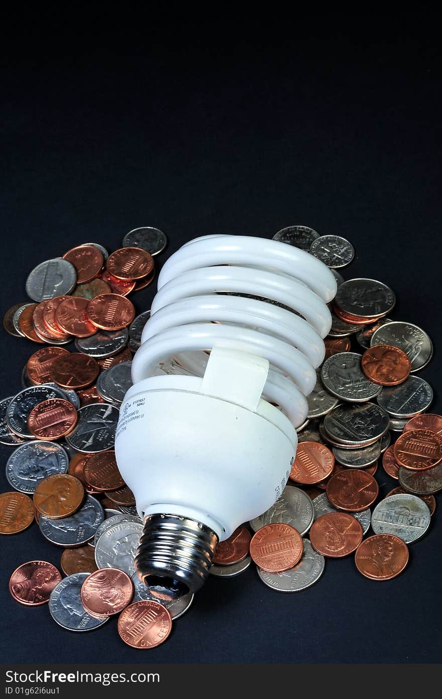 Florescent light bulbs save lots of change in a year.