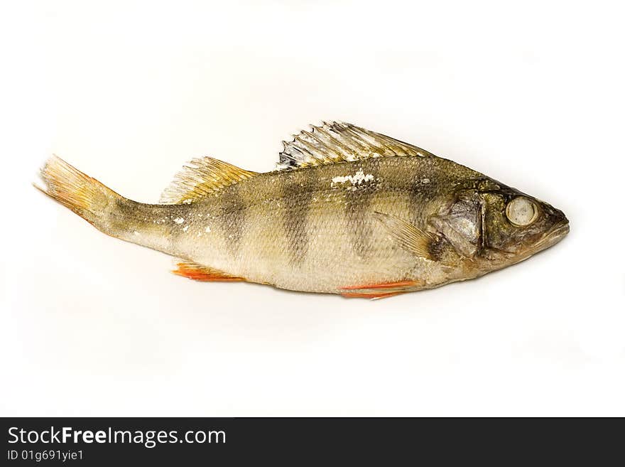 Dried perch isolated on white background. Dried perch isolated on white background