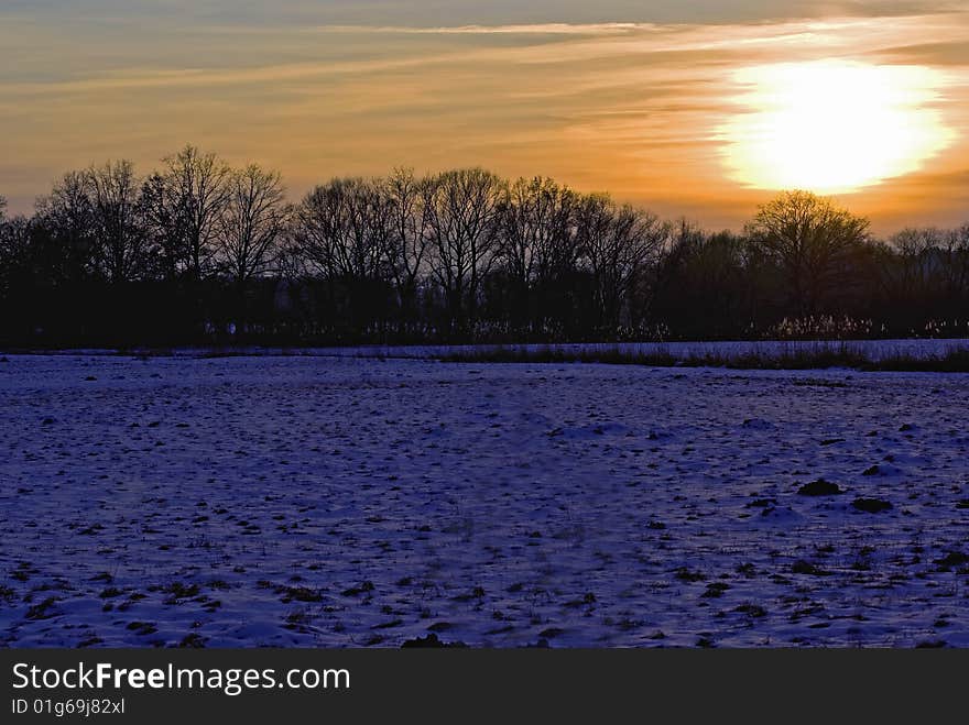 A snowy field with trees in the back during sunset in winter. A snowy field with trees in the back during sunset in winter