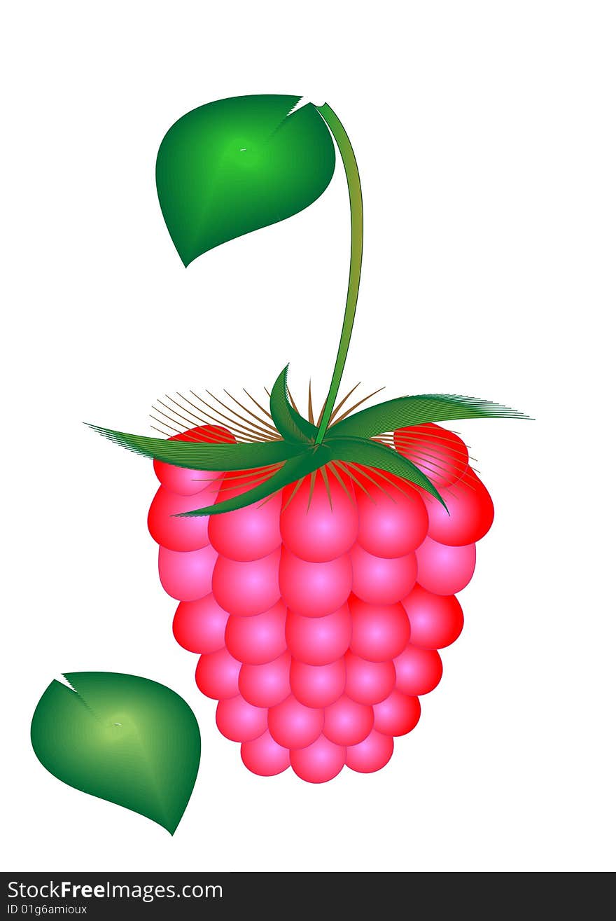 Raspberry