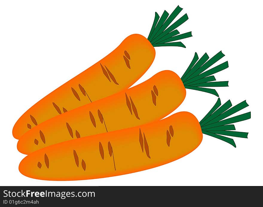 Carrot