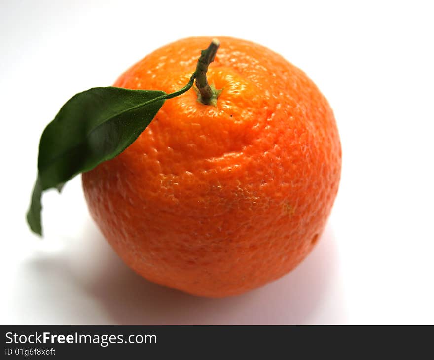 Fresh orange sense with tree with sheet