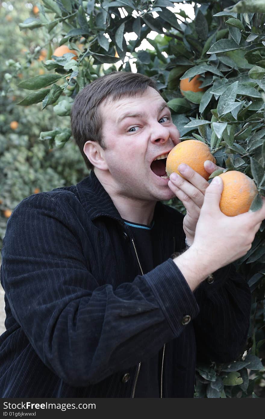 A hungry man in a orange orchard