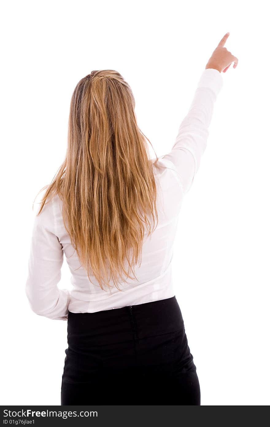 Back pose of pointing businesswoman against white background