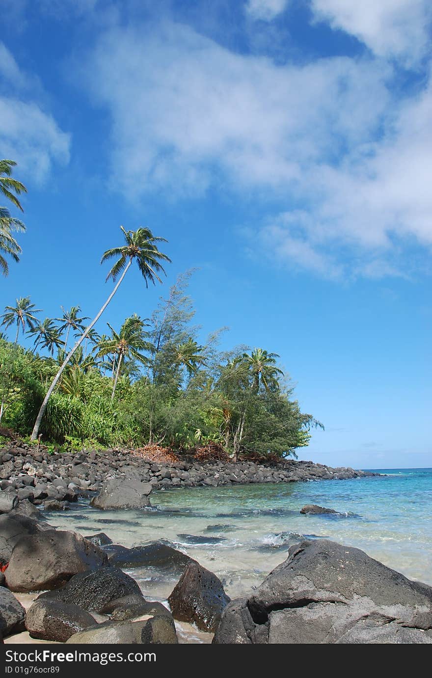 Beautiful secluded beach with palm trees, crystal clear water and blue skies on Kauai. Beautiful secluded beach with palm trees, crystal clear water and blue skies on Kauai