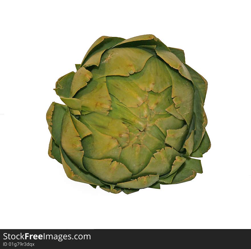 Fresh, raw artichokes on white background