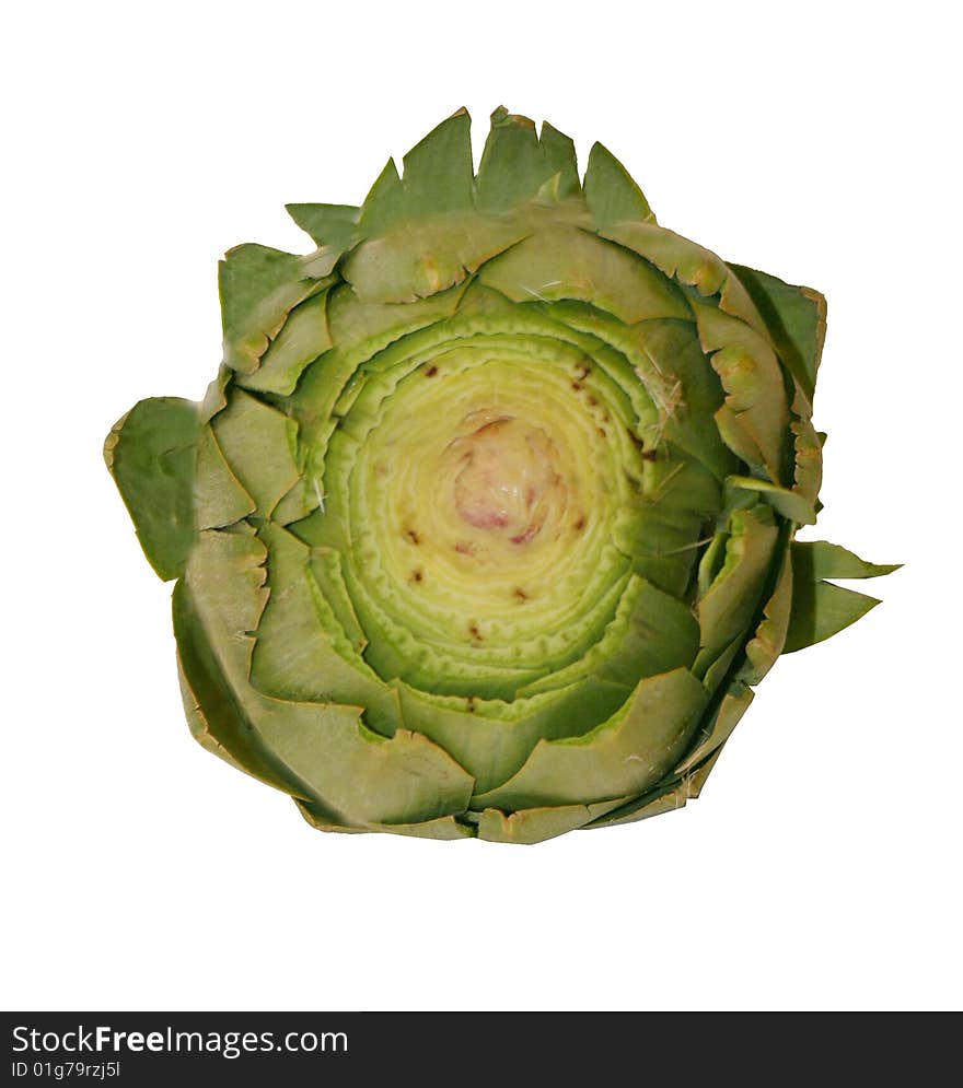 Fresh, raw artichoke on isolated background