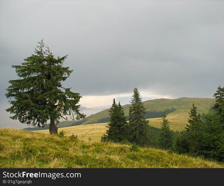 Mountain Landscape in a summer day