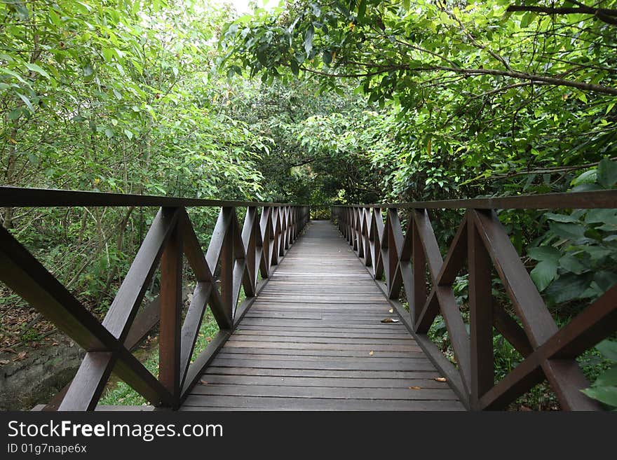 Wooden Walking