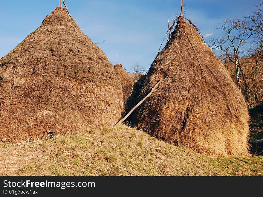 A picture with a bucolic practice from Romania