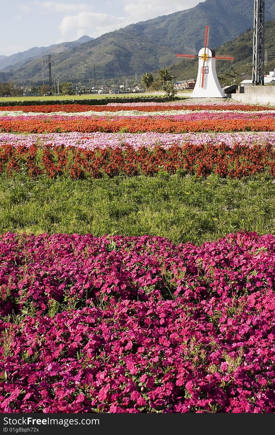 Flowers and windmill