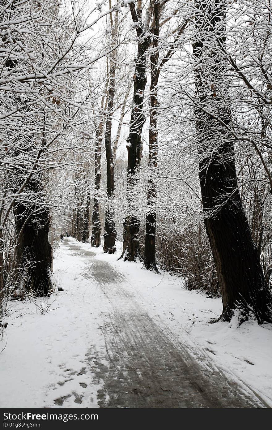 Snow in the park in the Ural. Snow in the park in the Ural