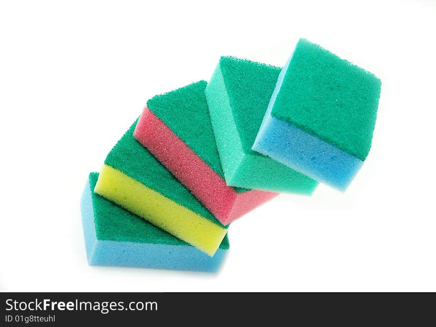 Sponges