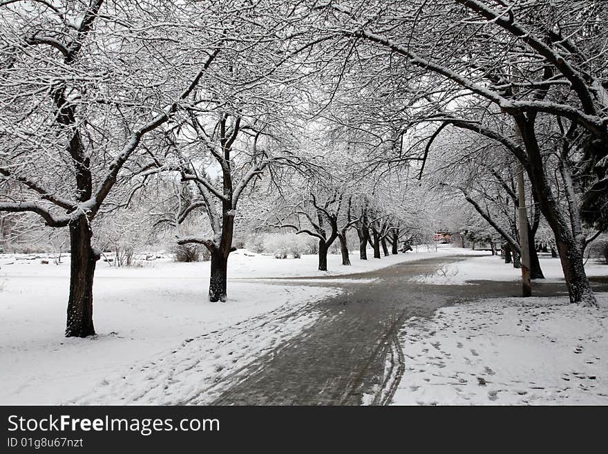 Snow in the park in the Ural. Snow in the park in the Ural