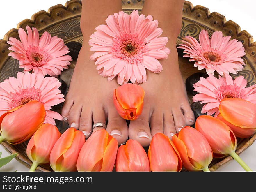 Beautiful tulips and gerbera daisies and pedicured, pampered feet. Beautiful tulips and gerbera daisies and pedicured, pampered feet