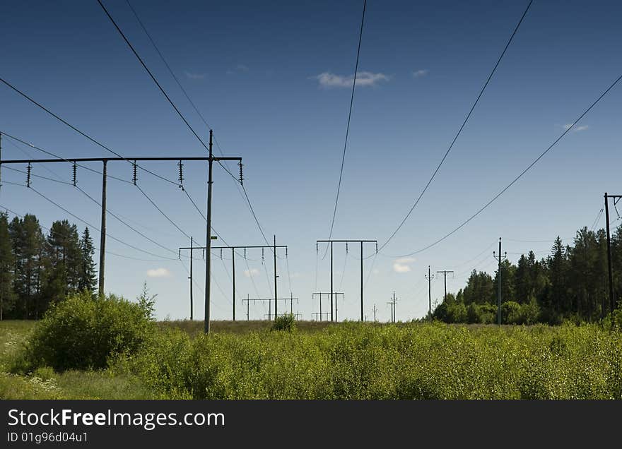 Powerline In The Woods