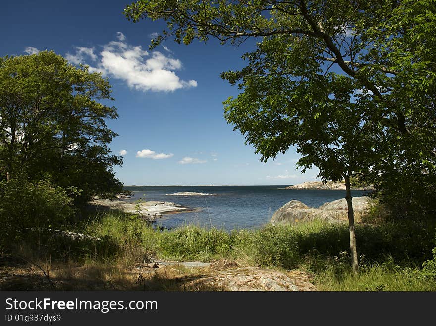 Landscape view