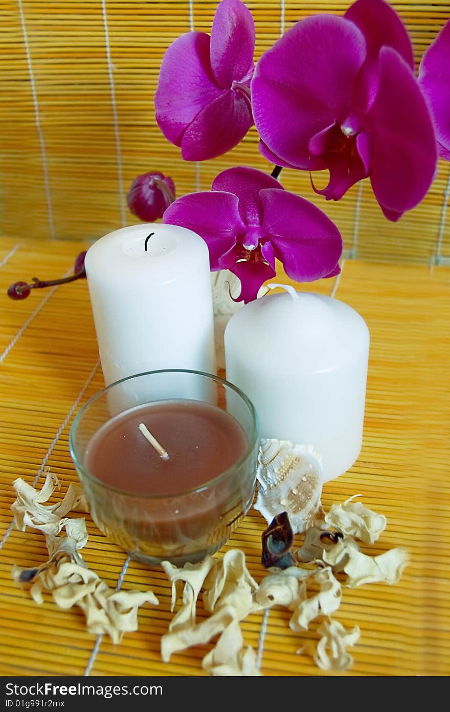 Orchids, candles and shells, spa concept. Orchids, candles and shells, spa concept