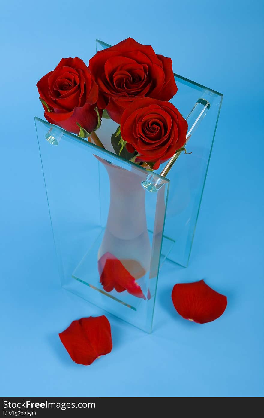 Three Red Roses In The Vase