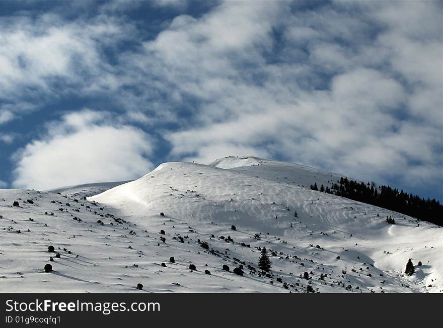 Winter panorama