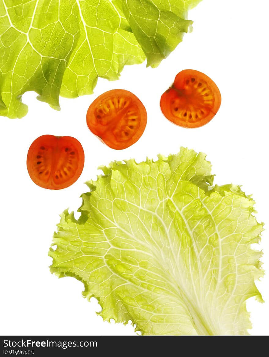 Salad leaf and tomato on white. Back light.