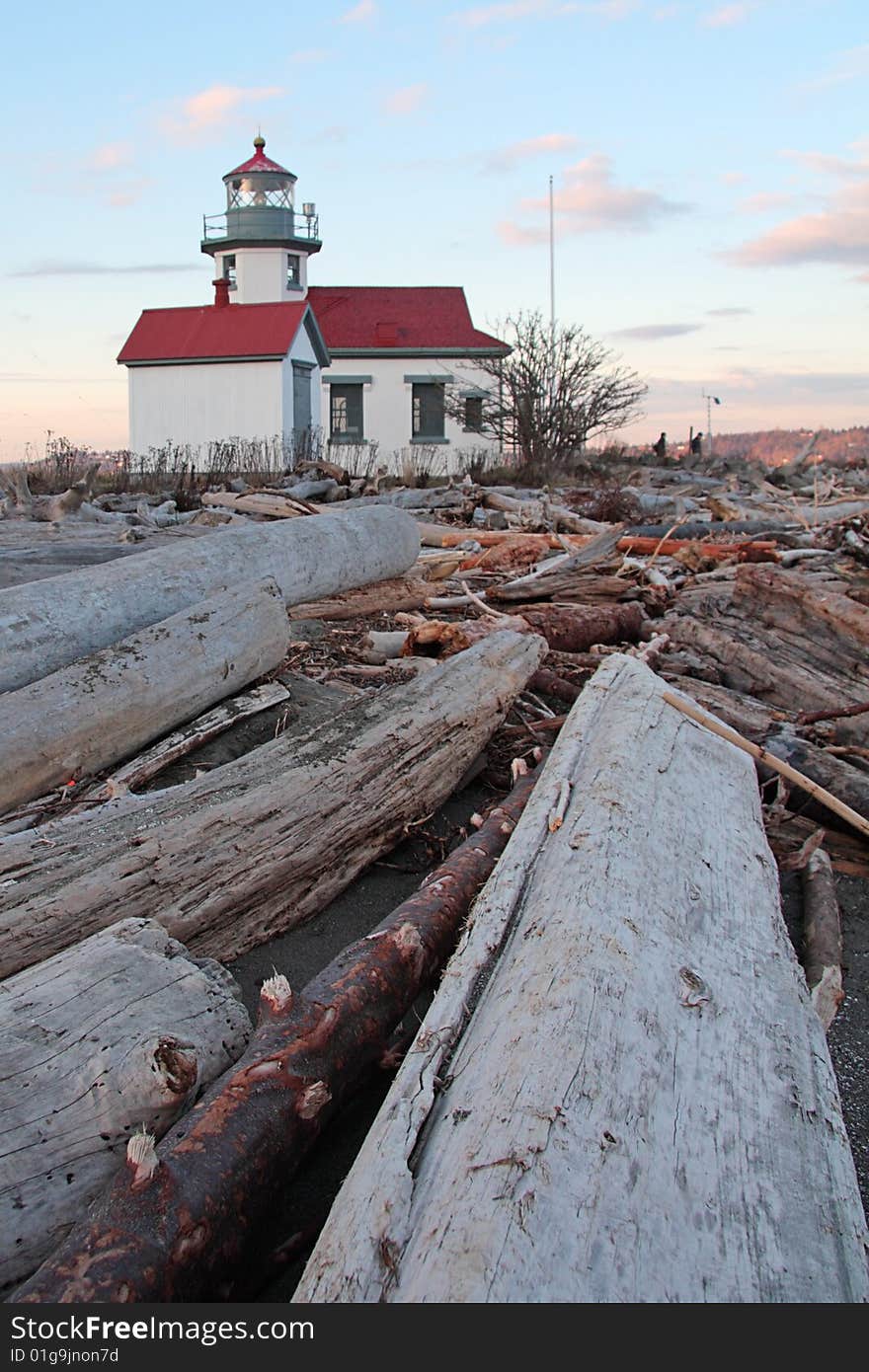 Lighthouse With Driftwood