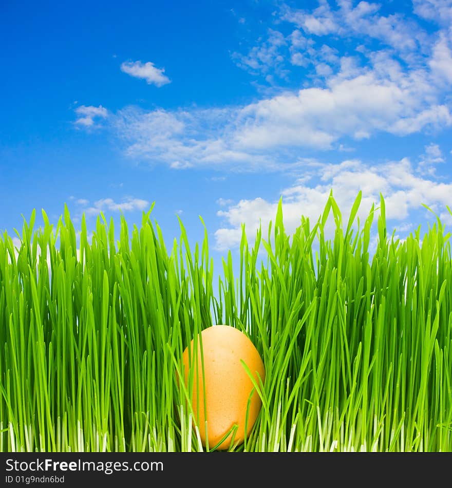 Egg in the grass, blue sky