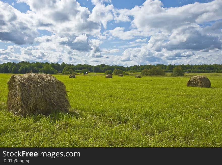 Haystack in the field