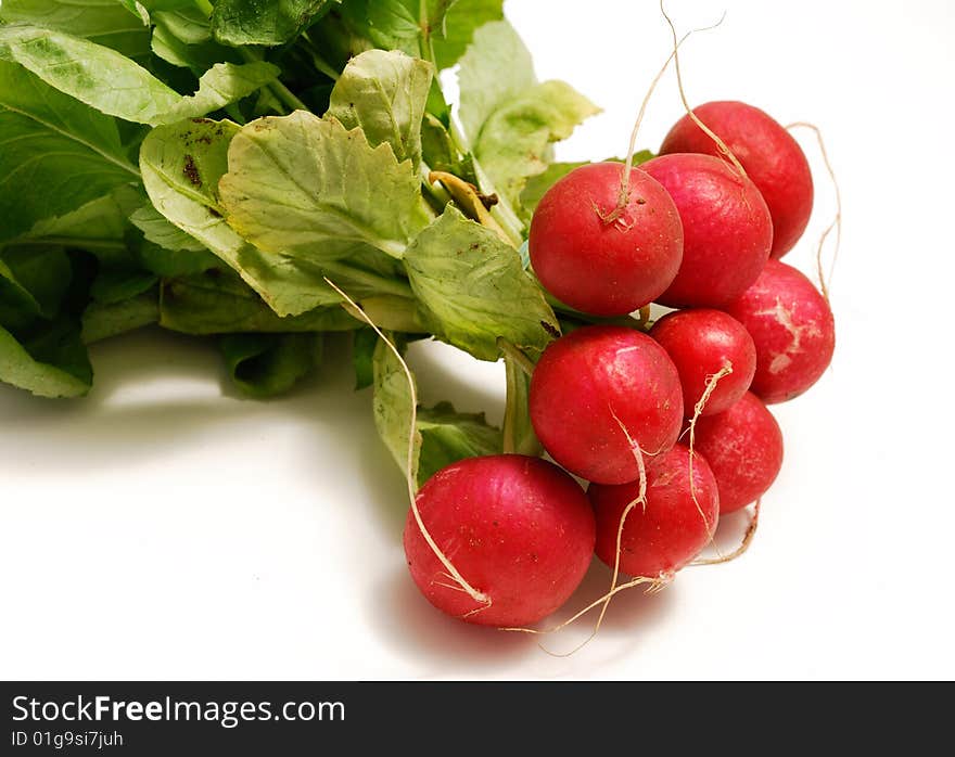 A bunch of fresh radishes on white with soft shadow.