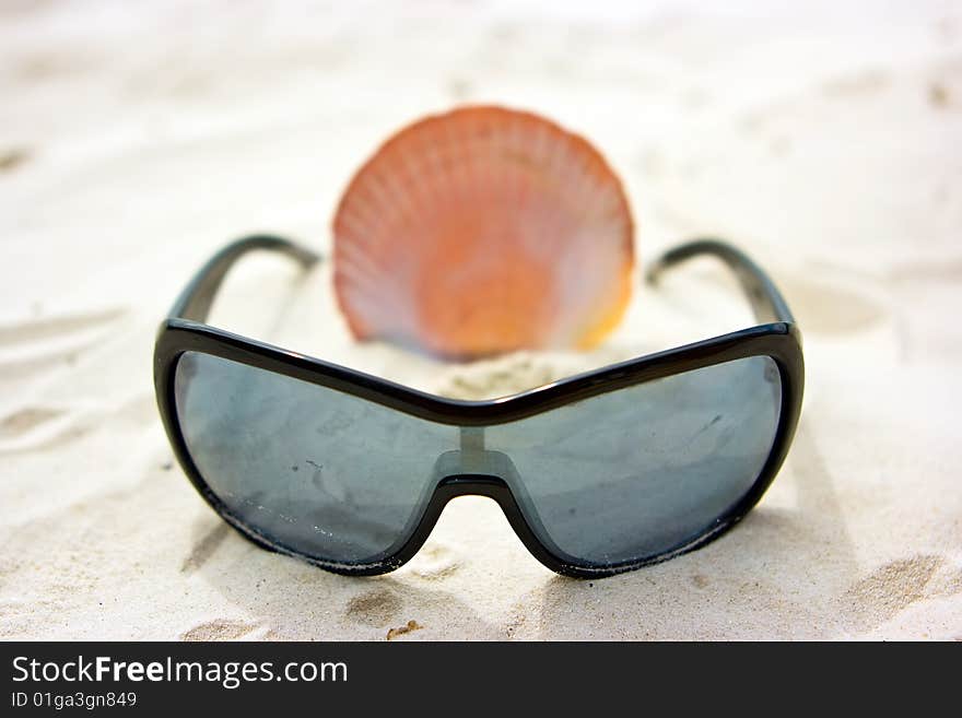 Still life picture with sunglasses and shell on the sandy beach. Still life picture with sunglasses and shell on the sandy beach