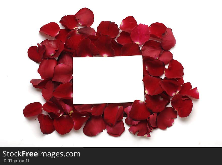 Rose petals and blank card for your text. Rose petals and blank card for your text