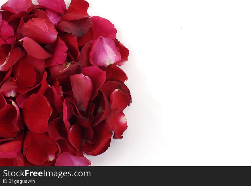 Isolated half cycle rose petals