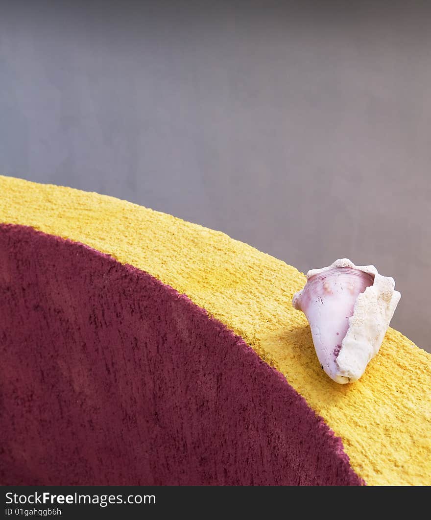 A pink and white conch shell sits on a yellow and magenta wall in the Gulf of Mexico. A pink and white conch shell sits on a yellow and magenta wall in the Gulf of Mexico.