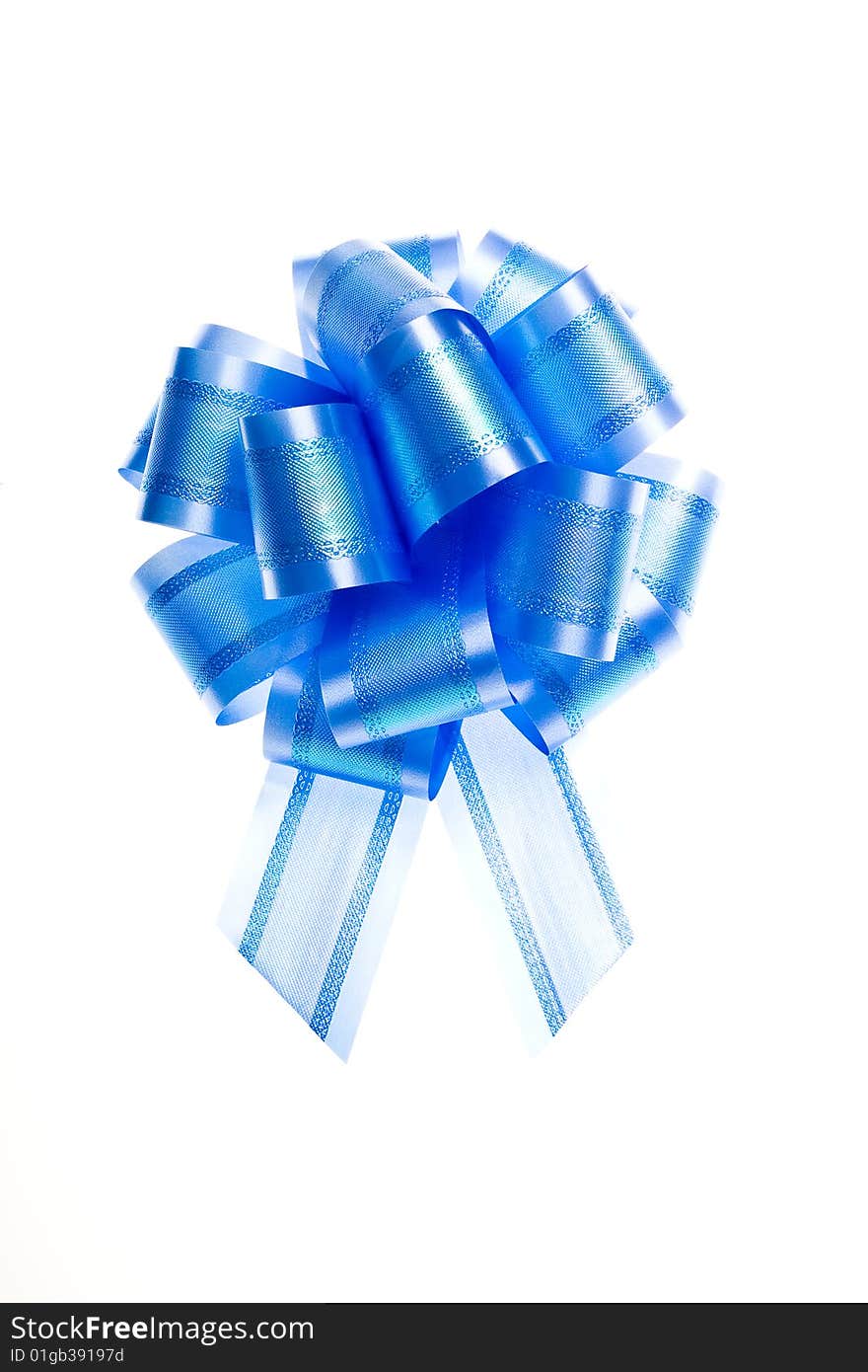 Blue bow on a white background