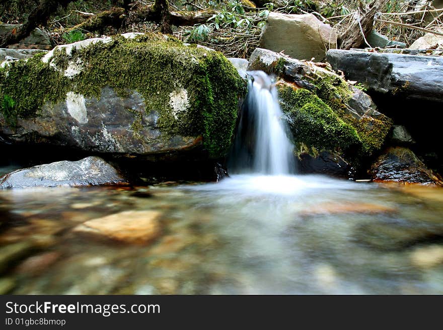 Forest Pool 1