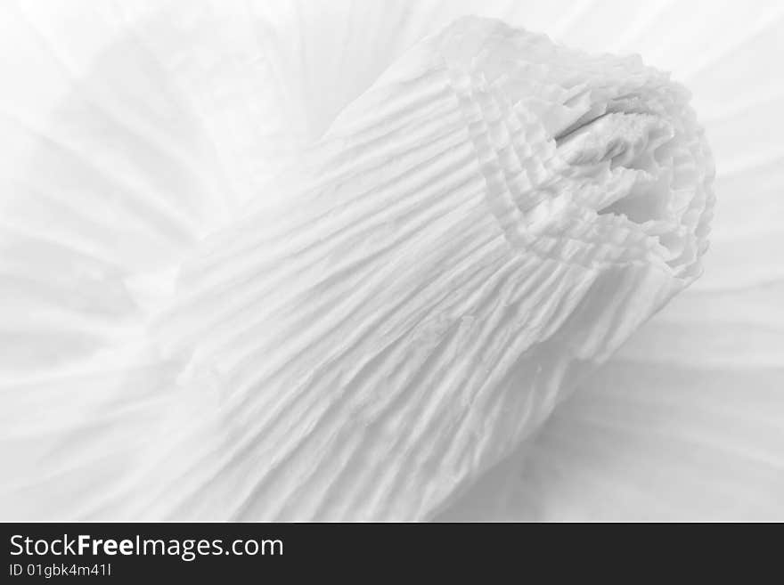 Close-up of garlic bulb in B&W (abstract)