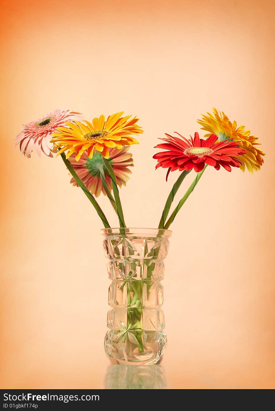 Bouquet of colorfull gerbera