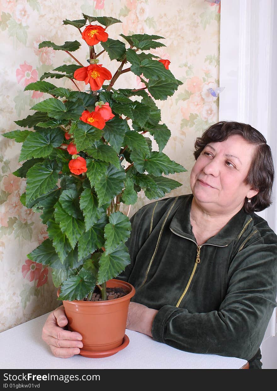 The woman admires a begonia blossoming by red buds. The woman admires a begonia blossoming by red buds