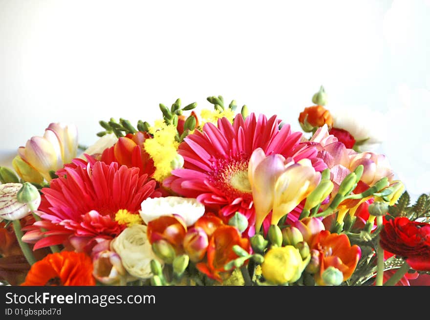 Bunch of colored flowers on a white background. Bunch of colored flowers on a white background