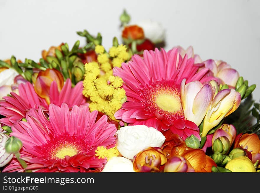 Heap of colored flowers against a white background. Heap of colored flowers against a white background